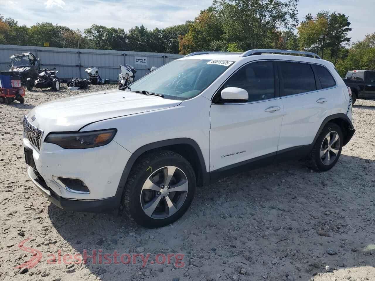 2019 JEEP GRAND CHER — VIN 1C4PJMDX4KD356084