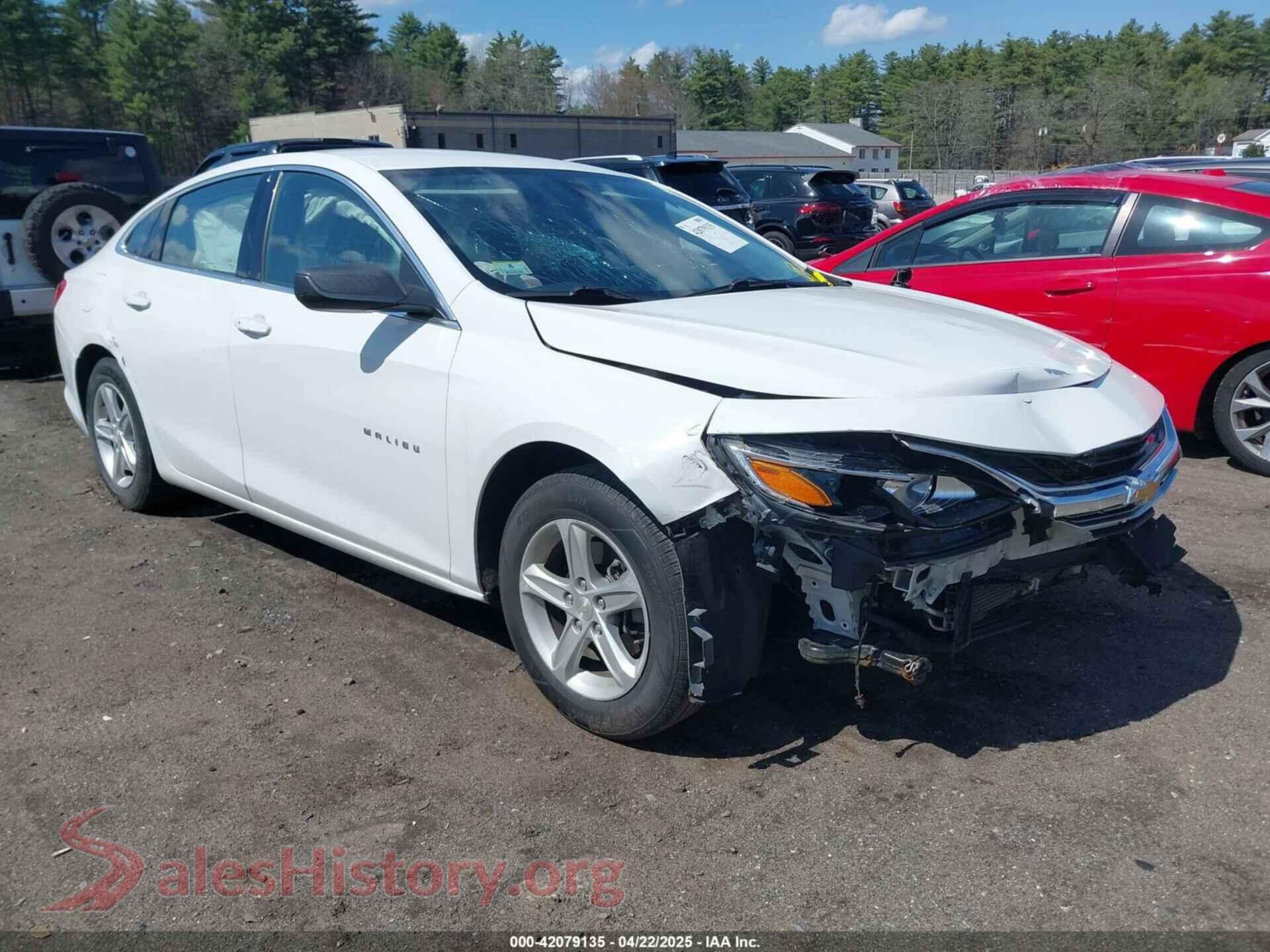 2019 CHEVROLET MALIBU — VIN 1G1ZB5ST2KF191547