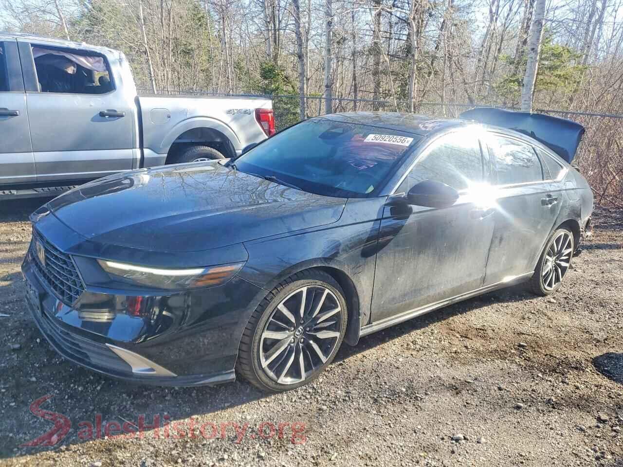 2024 HONDA ACCORD — VIN 1HGCY2F80RA800417