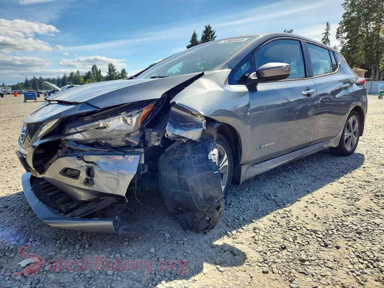 2018 NISSAN LEAF — VIN 1N4AZ1CP0JC313113