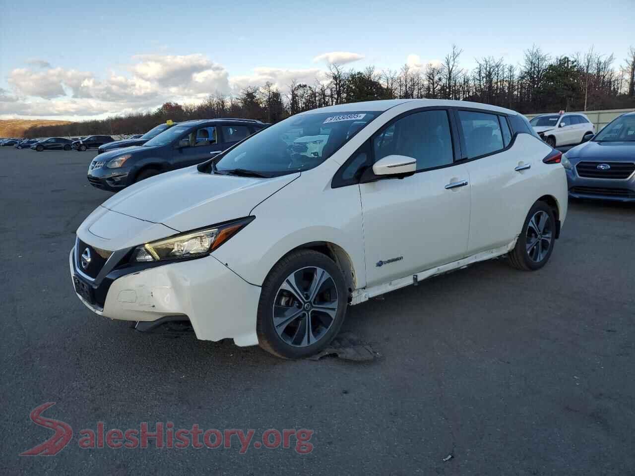 2019 NISSAN LEAF — VIN 1N4BZ1CP9KC317828