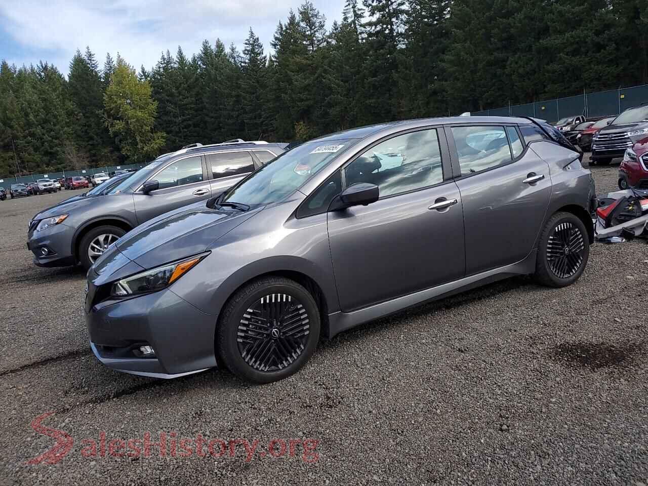 2025 NISSAN LEAF — VIN 1N4CZ1CV2SC557208