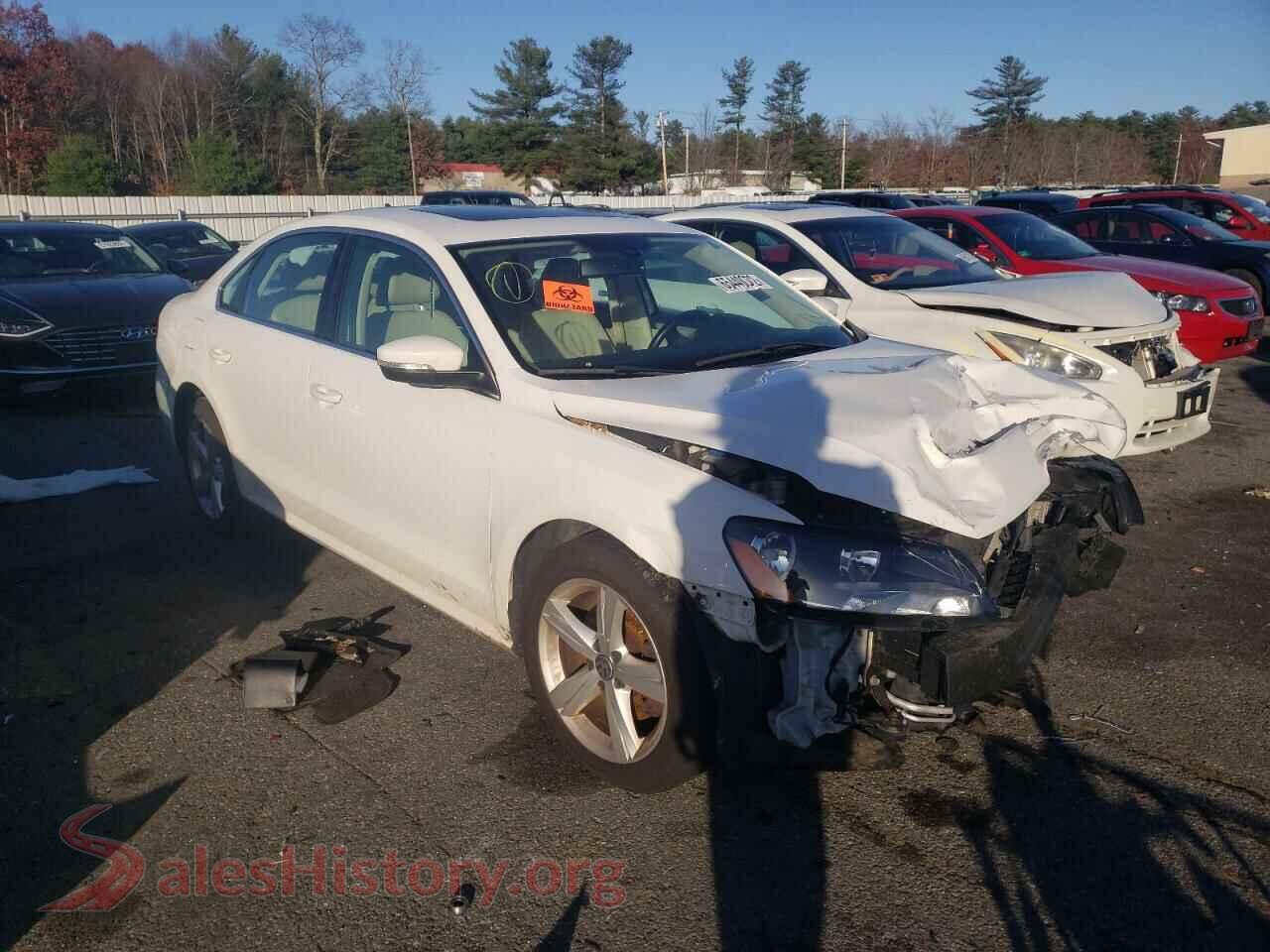 2013 VOLKSWAGEN PASSAT — VIN 1VWBP7A38DC148565