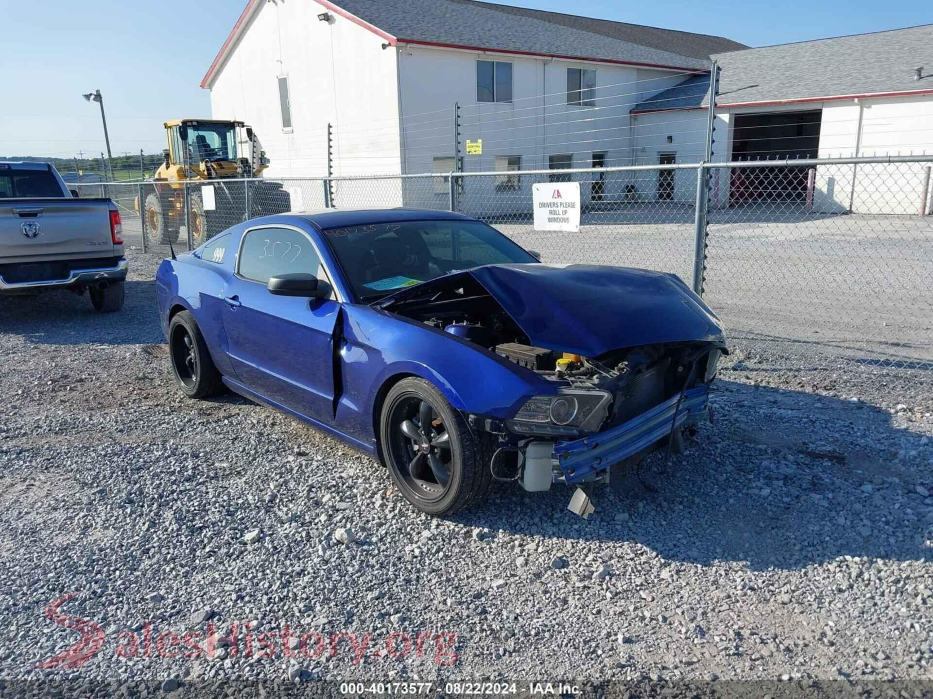 2014 FORD MUSTANG — VIN 1ZVBP8AM3E5329884