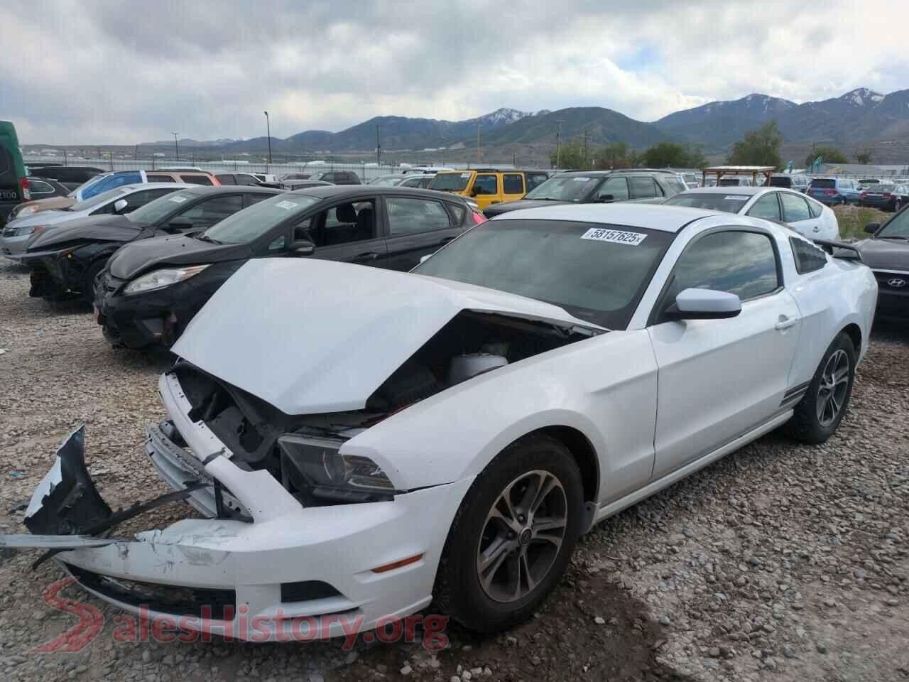 2014 FORD ALL Models — VIN 1ZVBP8AMXE5275435