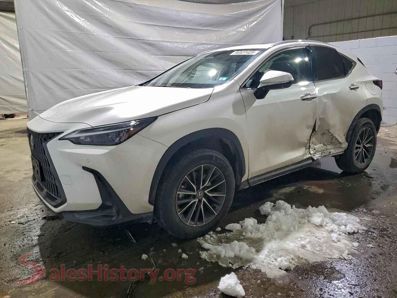 2025 LEXUS NX 350 BAS — VIN 2T2AGCEZ1SC062228