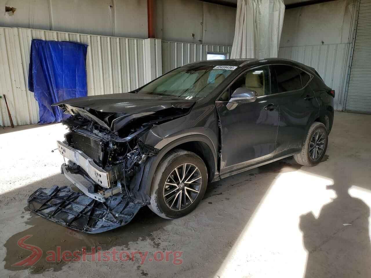 2024 LEXUS NX — VIN 2T2AGCEZ3RC045375