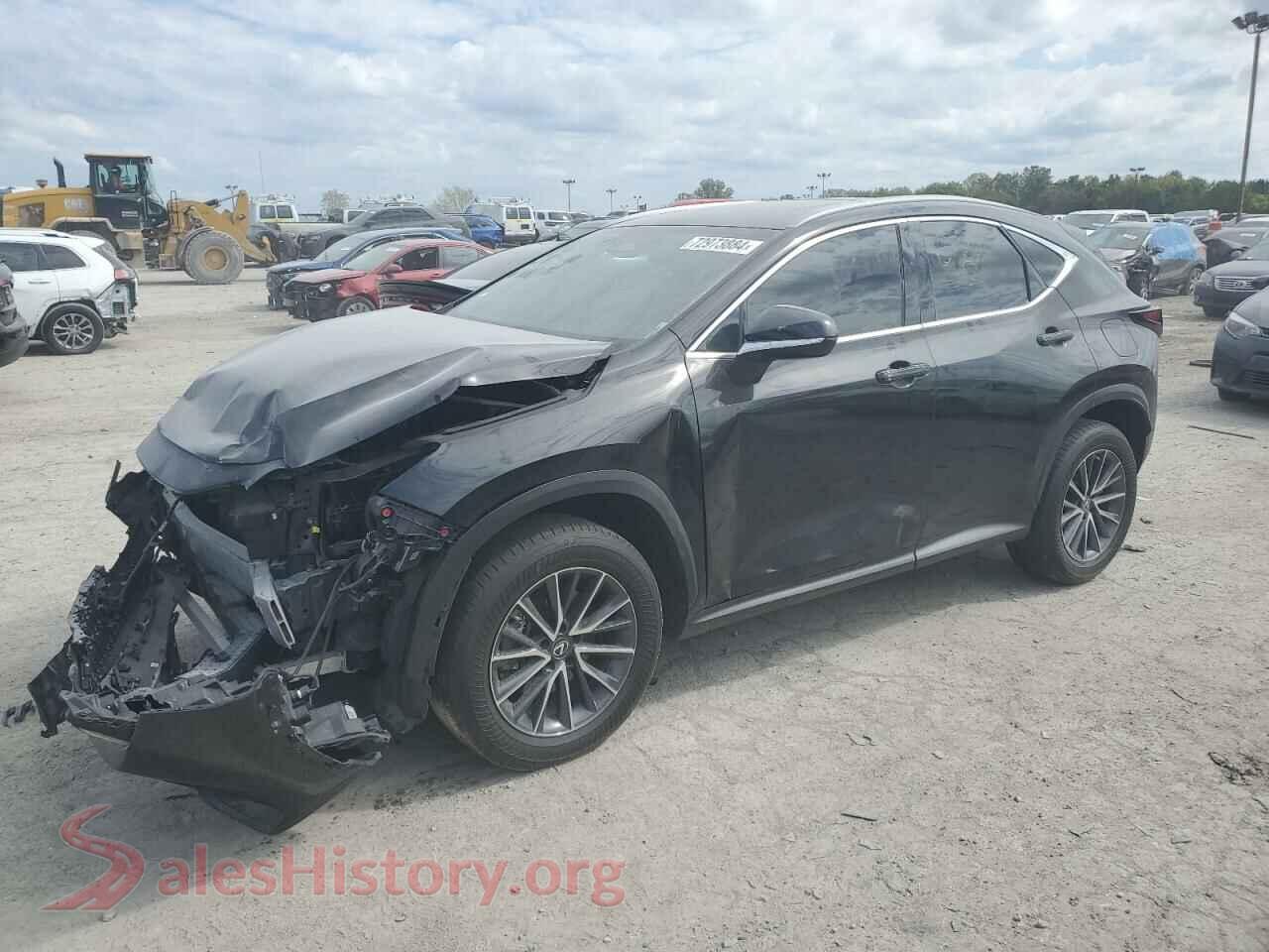 2023 LEXUS NX 250 — VIN 2T2GDCEZ3PC003028