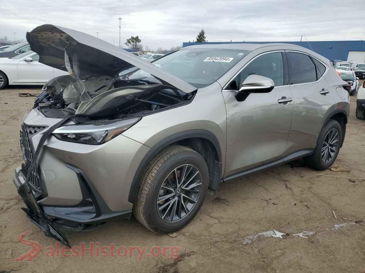 2024 LEXUS NX 350 PRE — VIN 2T2GGCEZ7RC040383