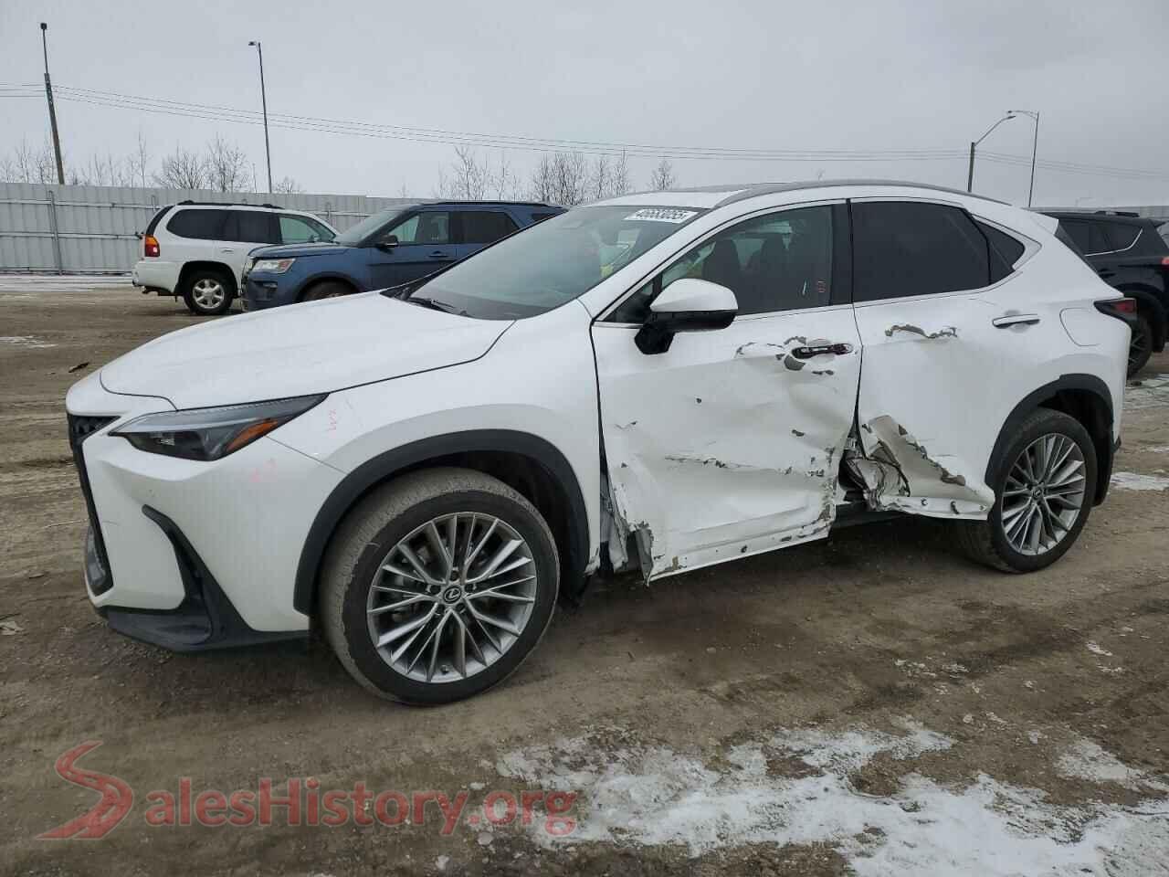2023 LEXUS NX 350 — VIN 2T2GGCEZ8PC026876