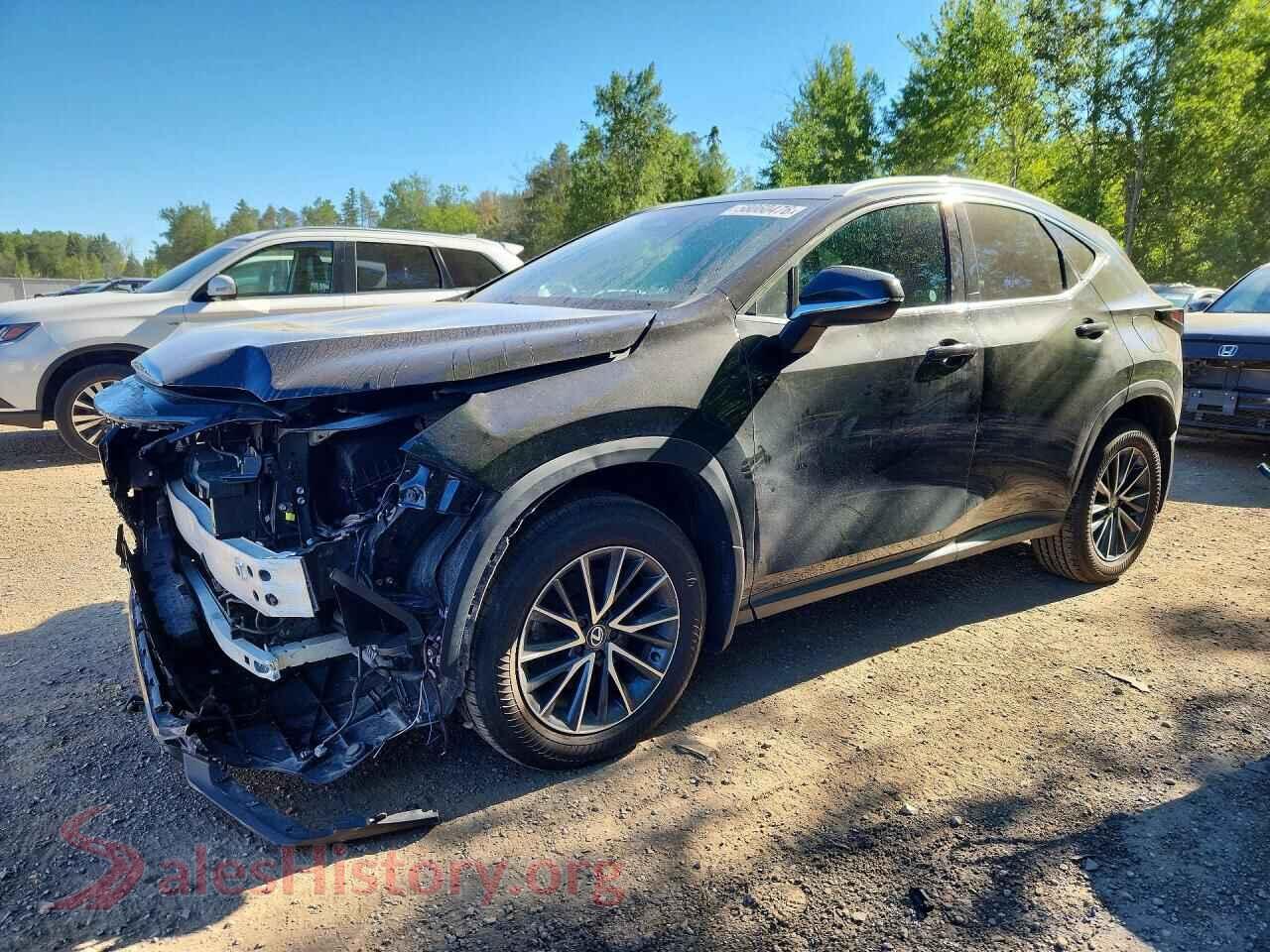 2024 LEXUS NX — VIN 2T2GKCEZ0RC027389