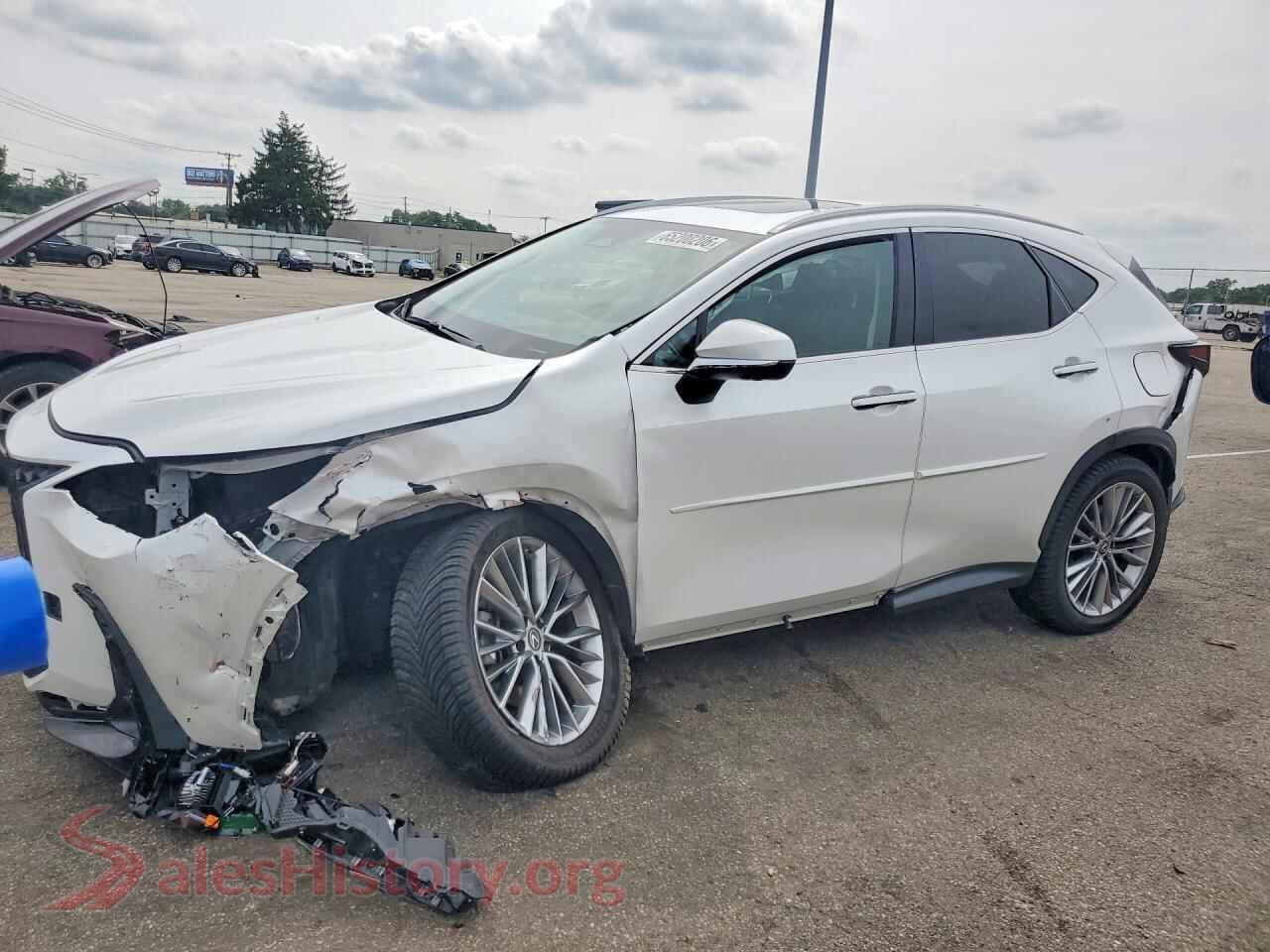 2025 LEXUS NX — VIN 2T2GKCEZ7SC050500
