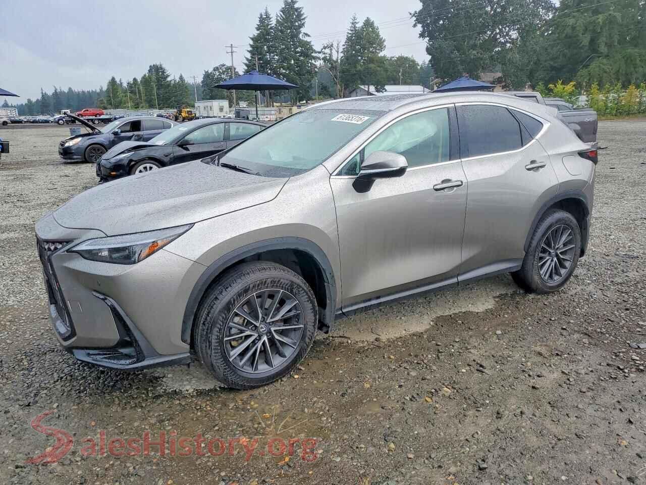 2024 LEXUS NX — VIN 2T2GKCEZ9RC029741
