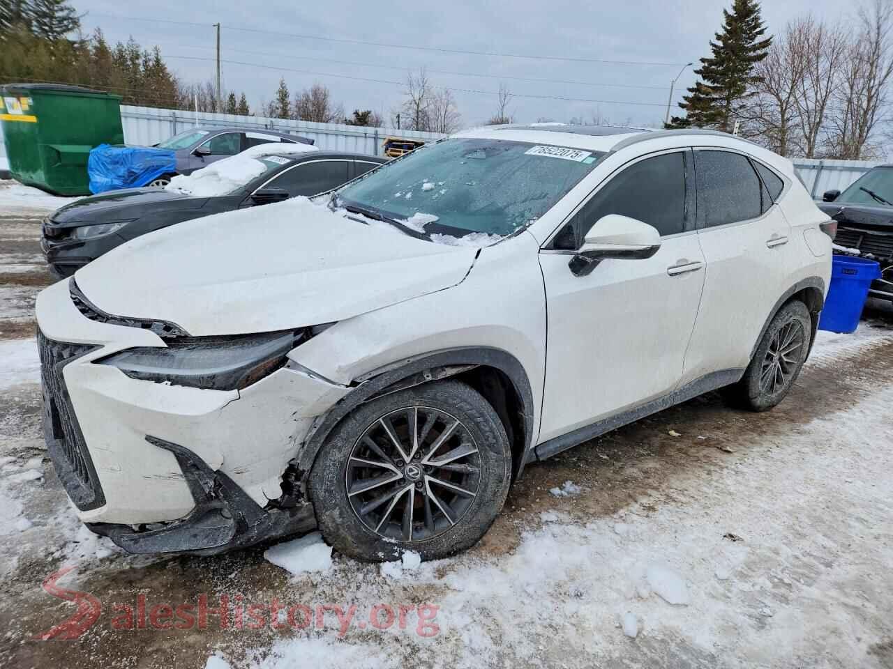 2024 LEXUS NX — VIN 2T2GKCEZXRC025200