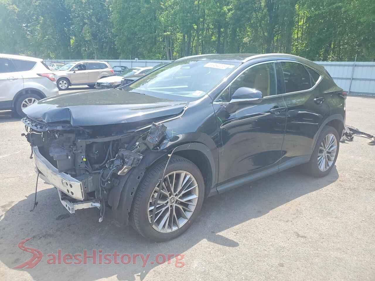 2022 LEXUS NX — VIN 2T2HGCEZ0NC008180
