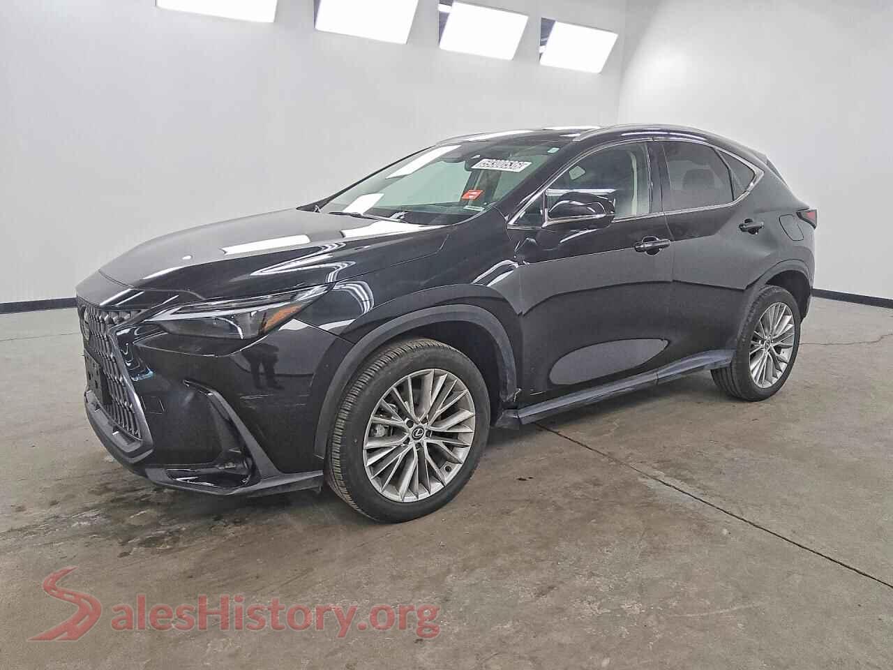 2024 LEXUS NX — VIN 2T2HGCEZ4RC048672