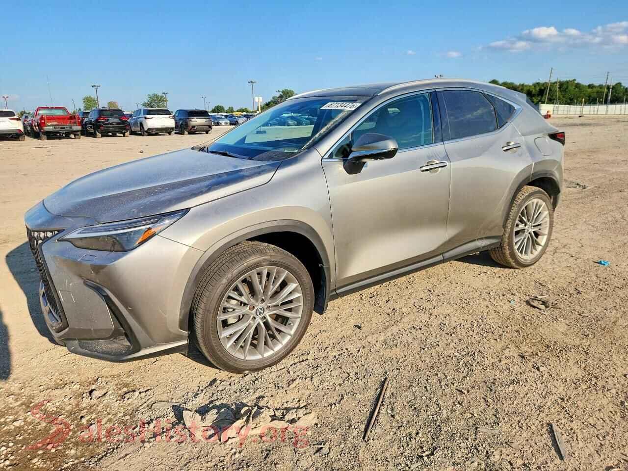 2022 LEXUS NX — VIN 2T2HKCEZ5NC007217