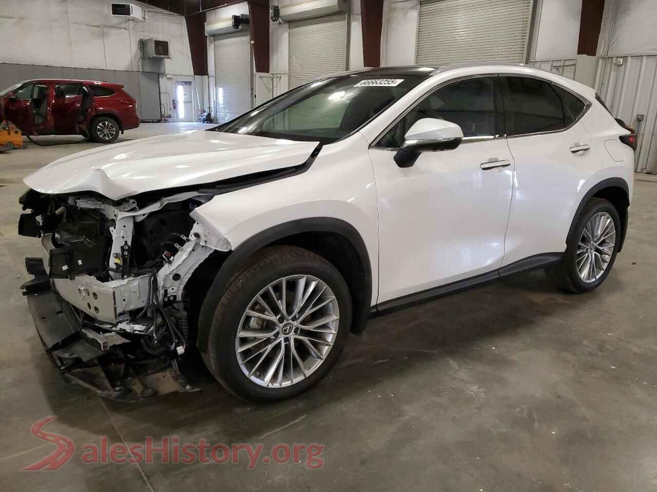 2024 LEXUS NX 350H BA — VIN 2T2HKCEZ8RC018377