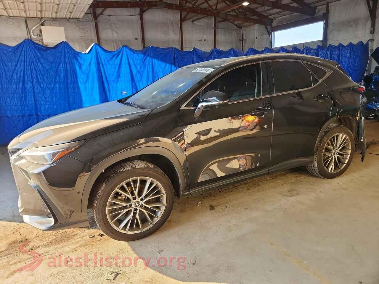 2024 LEXUS NX — VIN 2T2HKCEZ9RC027282