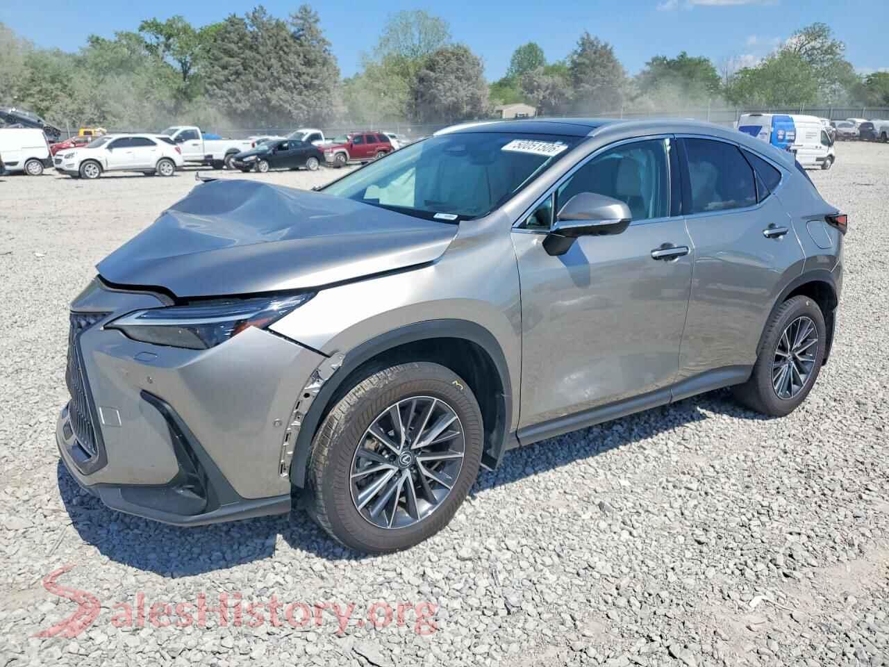 2025 LEXUS NX — VIN 2T2HKCEZXSC053525