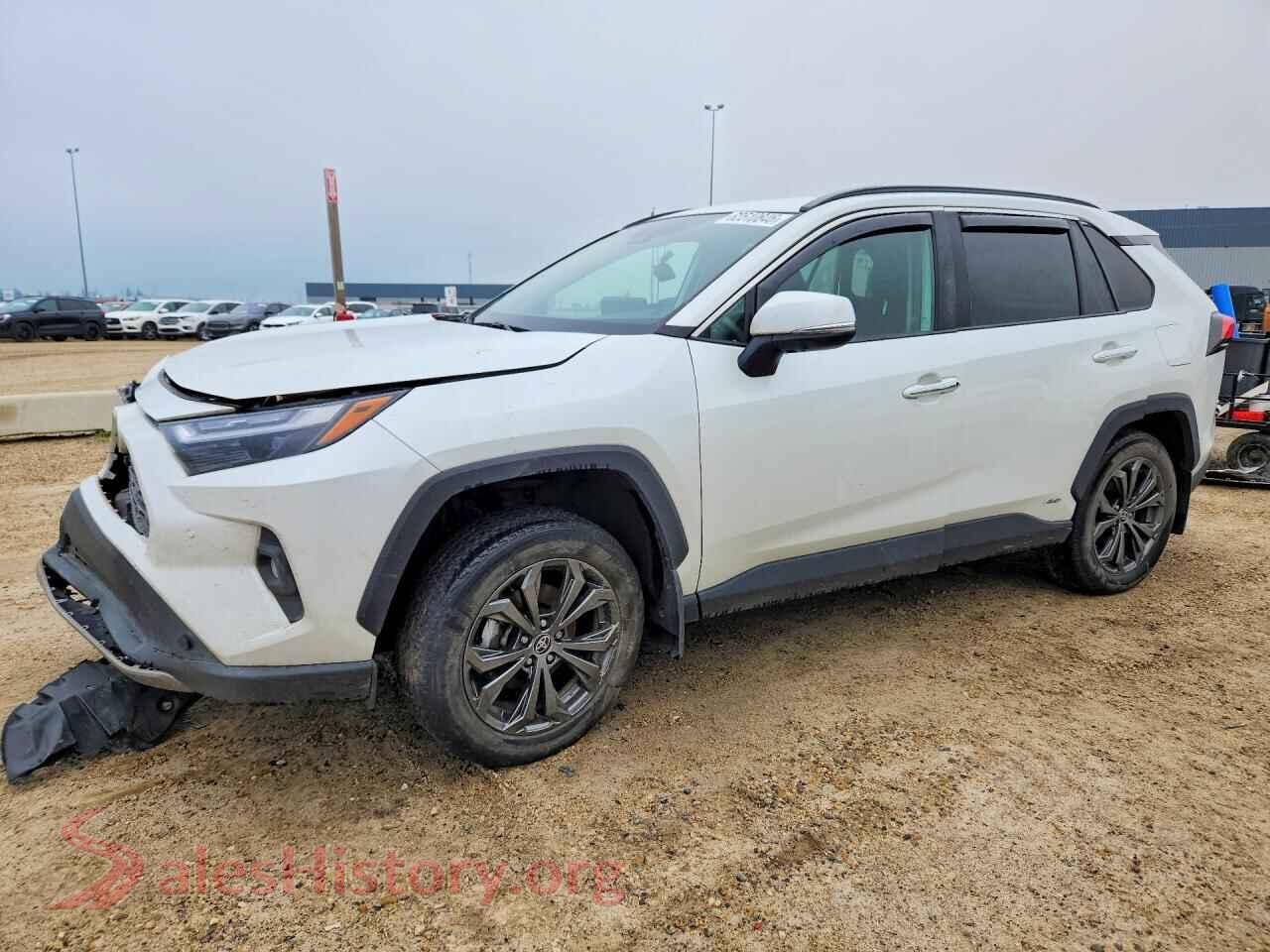 2023 TOYOTA RAV4 — VIN 2T3DWRFV8PW179174