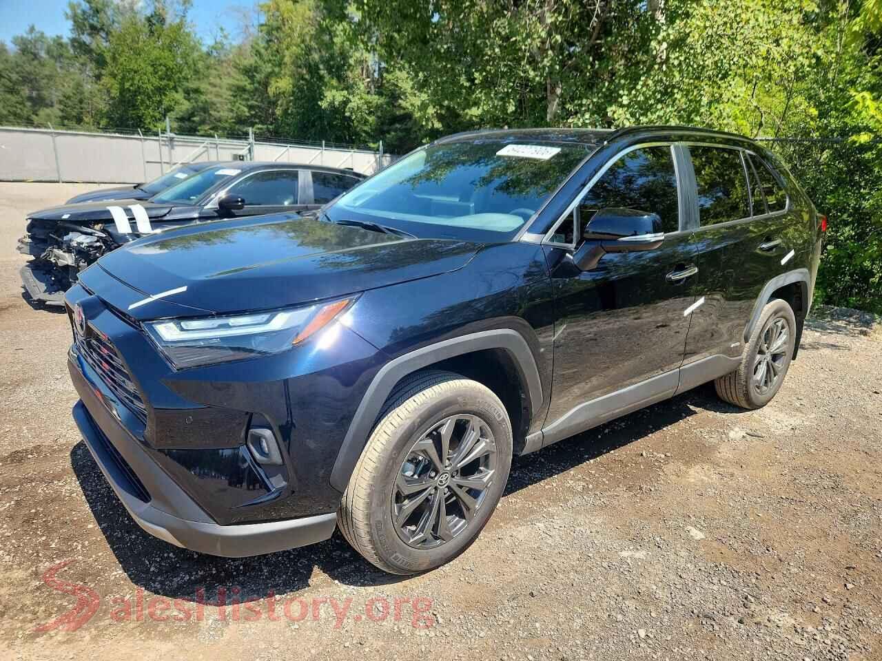 2025 TOYOTA RAV4 — VIN 2T3DWRFV8SW268493