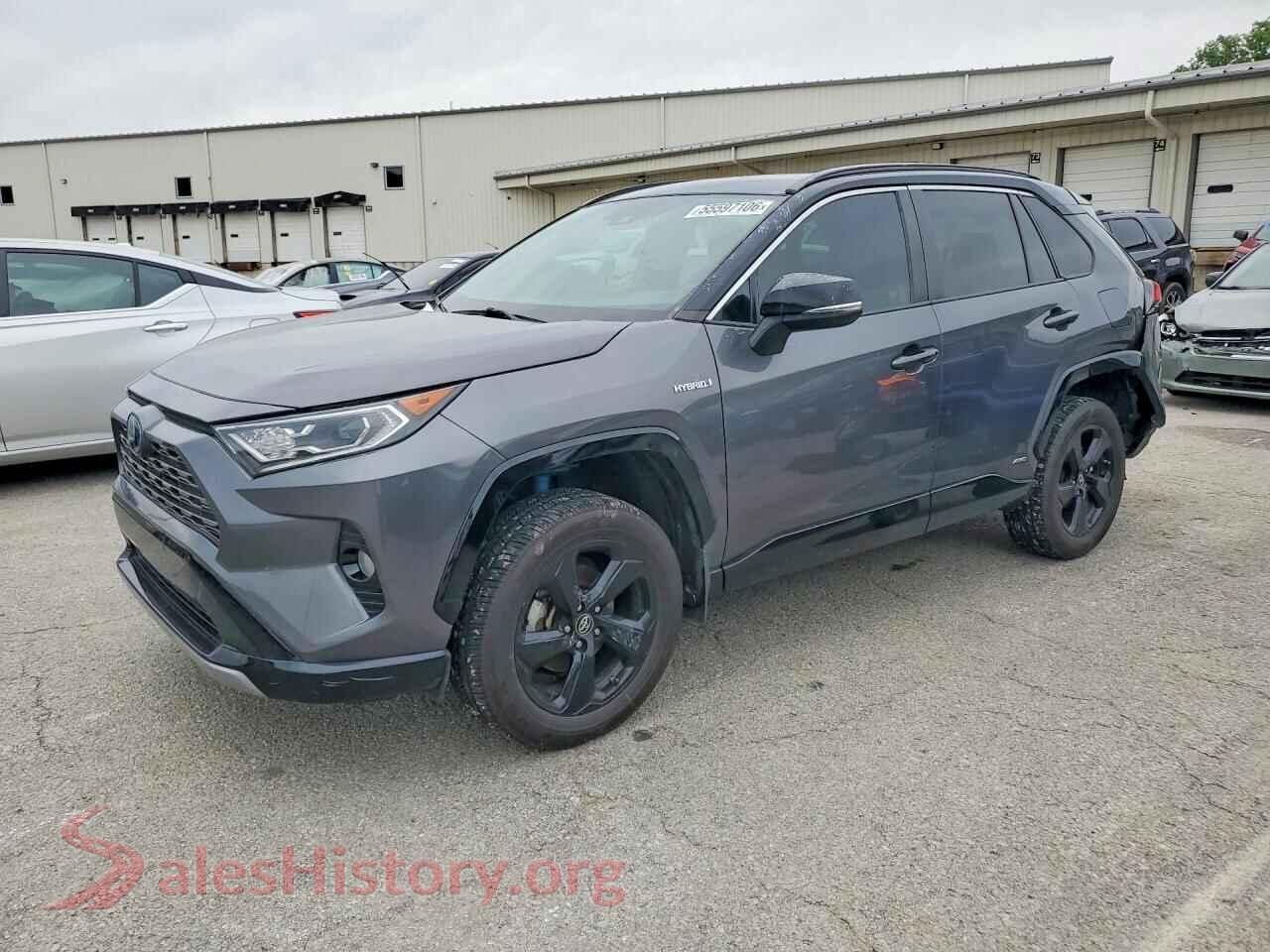 2019 TOYOTA RAV4 — VIN 2T3EWRFV0KW038239