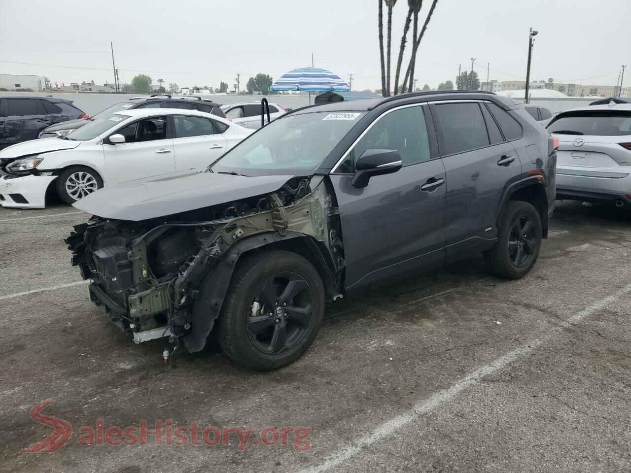 2019 TOYOTA RAV4 — VIN 2T3EWRFV3KW025663