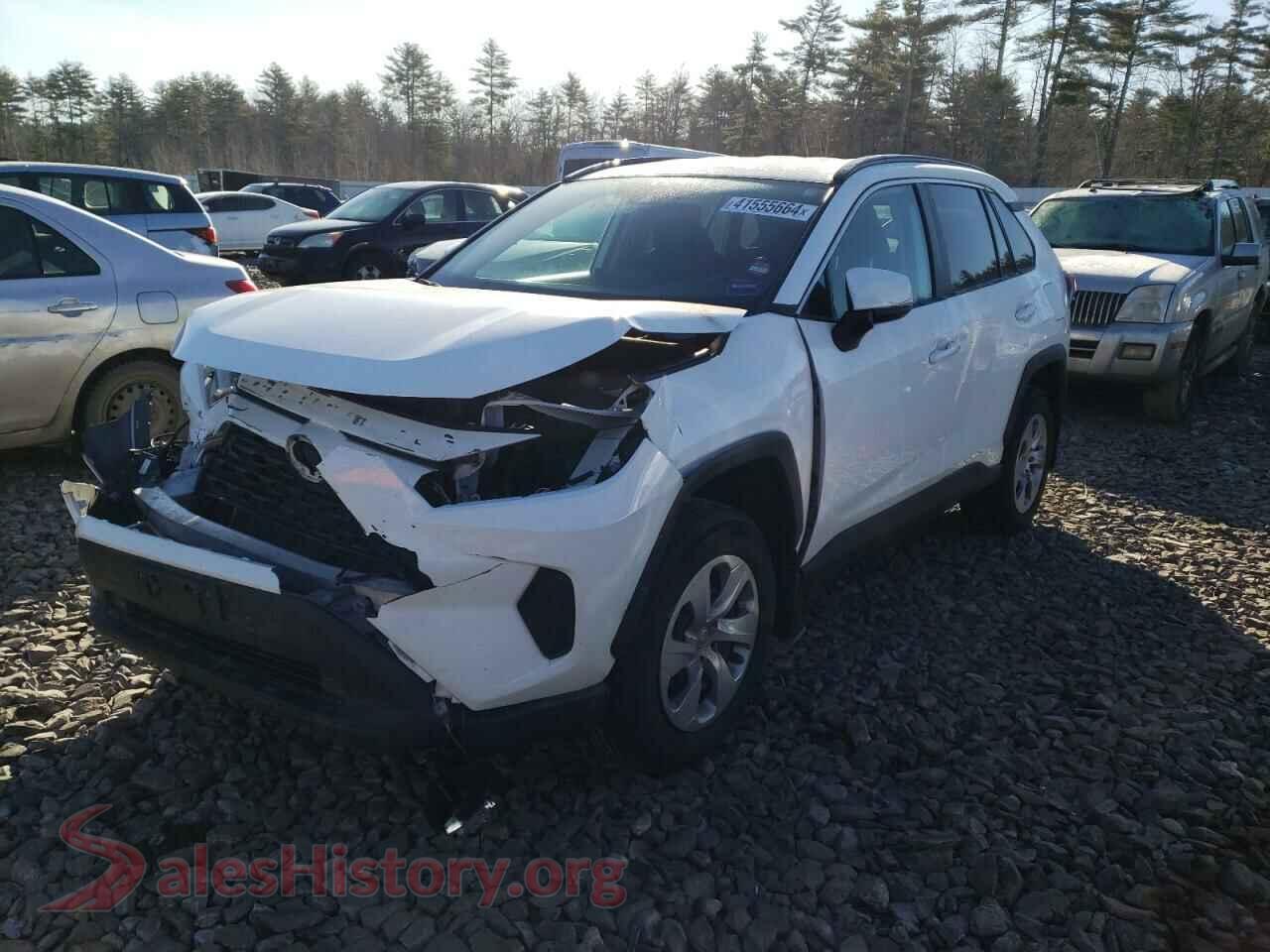 2019 TOYOTA RAV4 — VIN 2T3G1RFV3KW024584