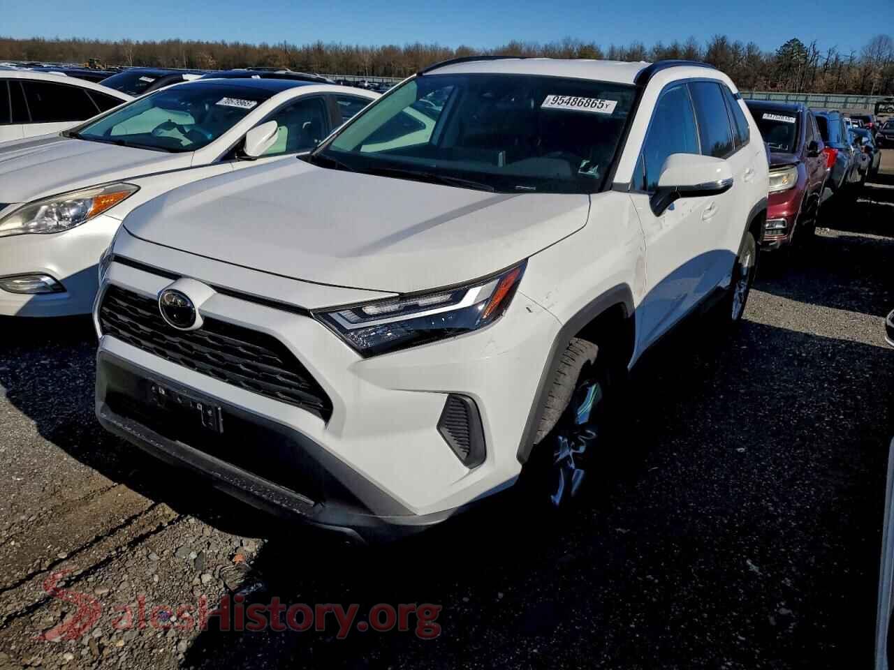 2025 TOYOTA RAV4 — VIN 2T3MWRFV9SW280569