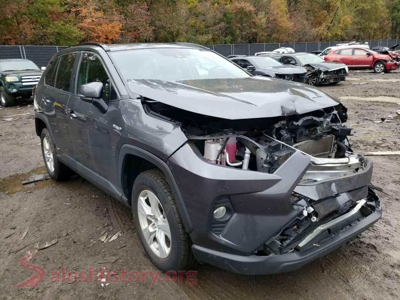 2019 TOYOTA RAV4 — VIN 2T3RWRFV3KW031528
