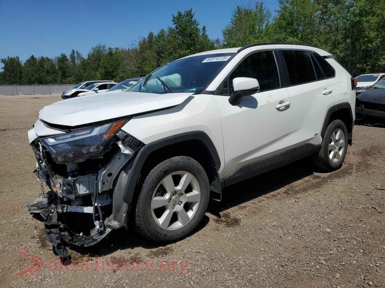 2023 TOYOTA RAV4 — VIN 2T3RWRFV6PW169667