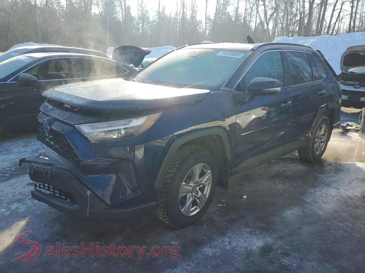 2024 TOYOTA RAV4 — VIN 2T3RWRFV7RW206079