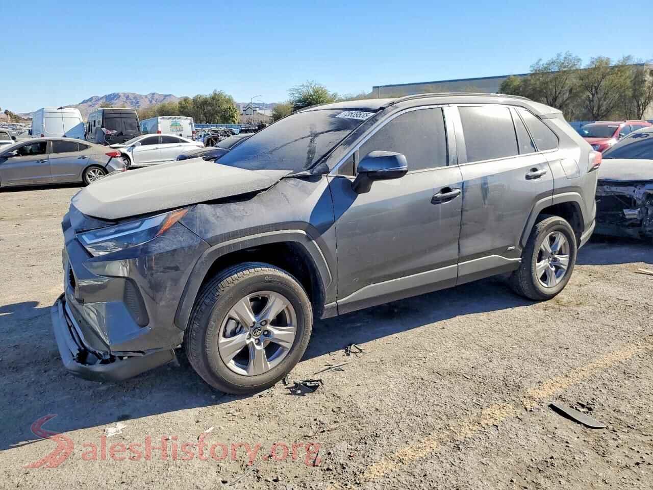 2025 TOYOTA RAV4 — VIN 2T3RWRFVXSW274768