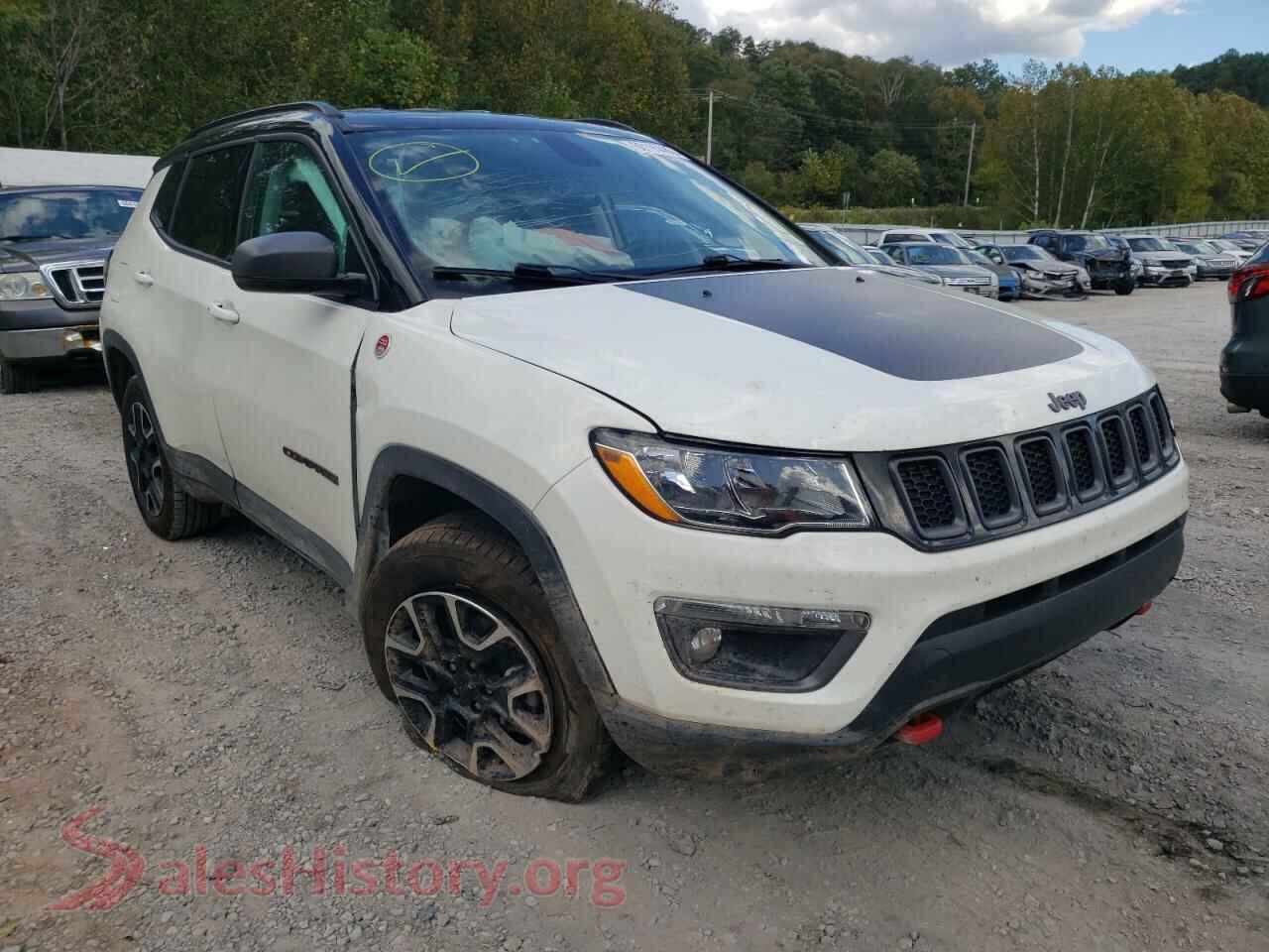 2020 JEEP COMPASS — VIN 3C4NJDDBXLT117209