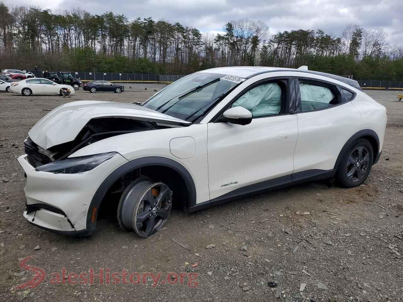 2021 FORD MUSTANG — VIN 3FMTK1SS3MMA42110