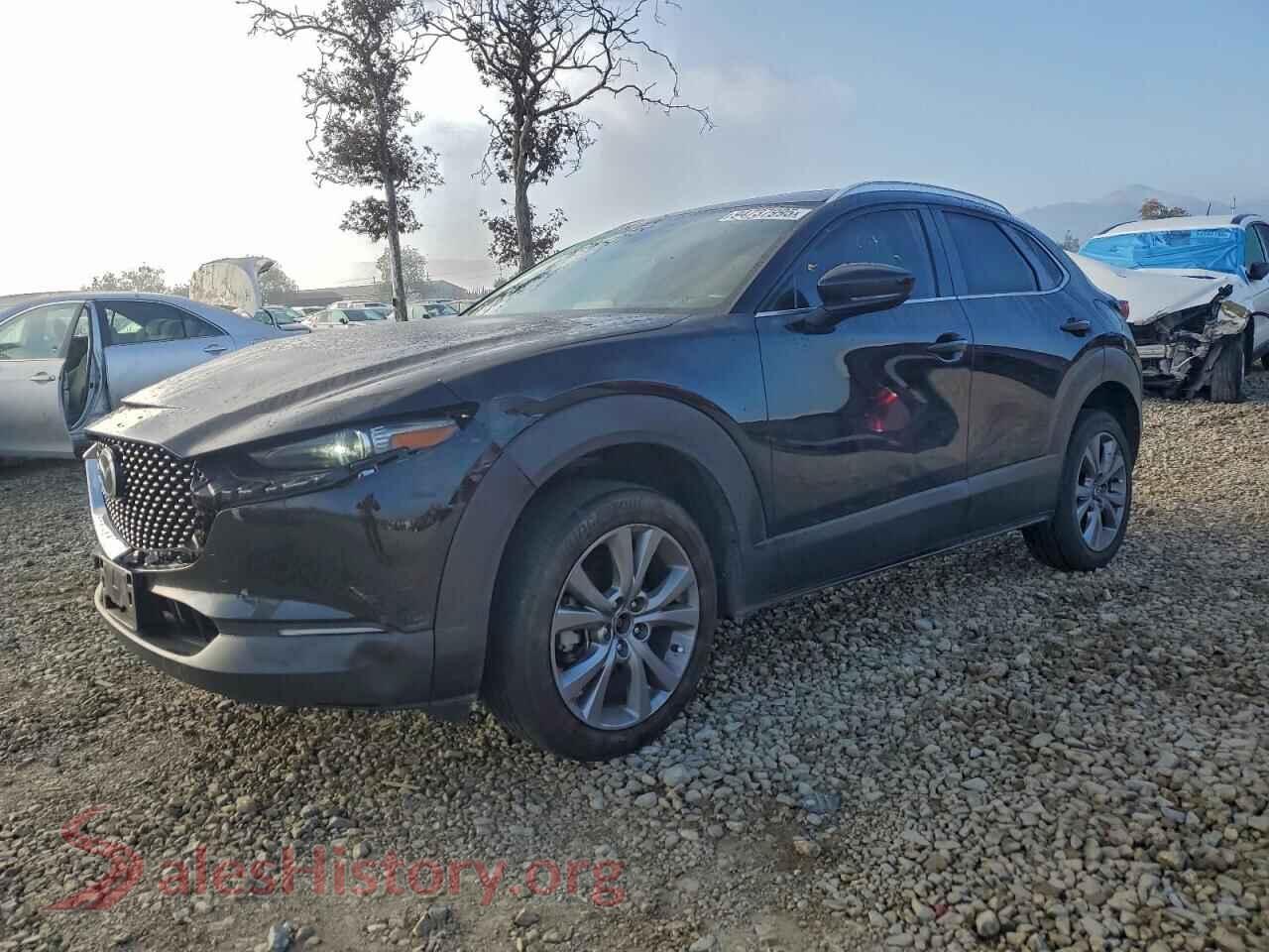 2022 MAZDA CX30 — VIN 3MVDMBDLXNM448674