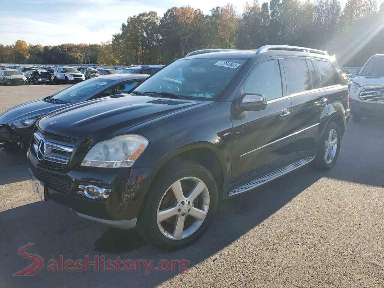2009 MERCEDES-BENZ GL-CLASS — VIN 4JGBF25E09A496430