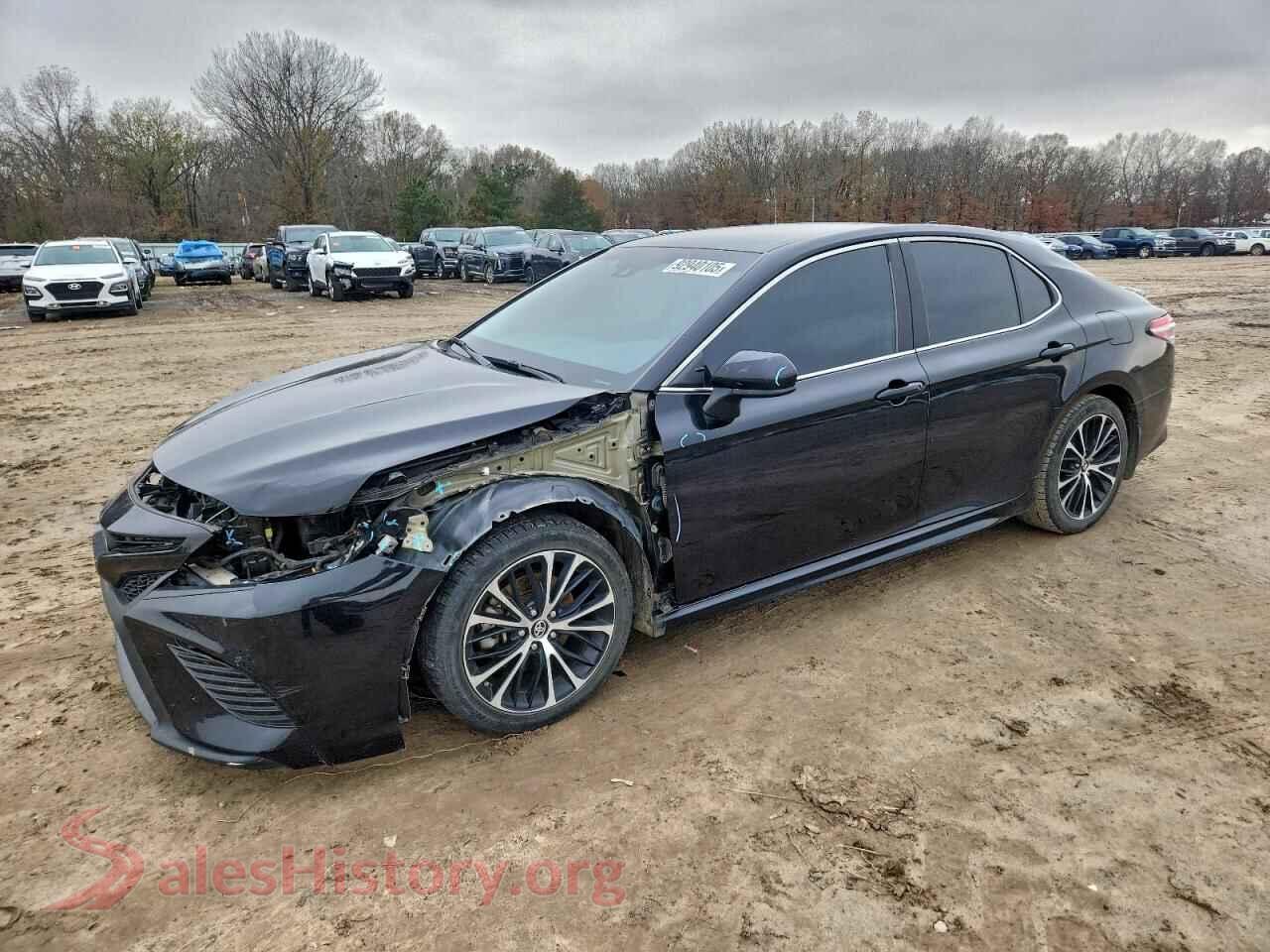 2019 TOYOTA CAMRY — VIN 4T1B11HK8KU796716