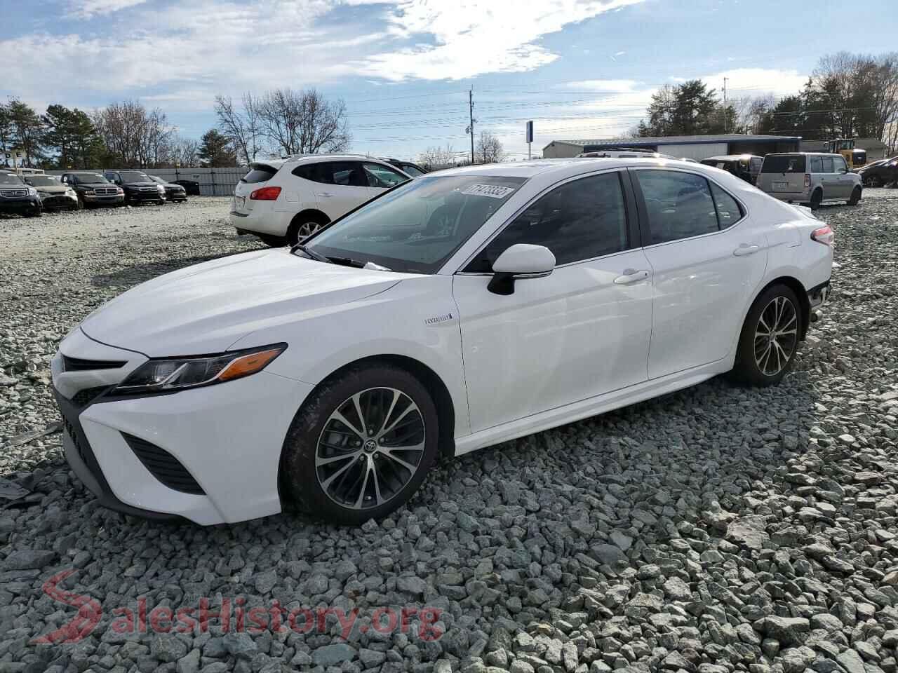 2019 TOYOTA CAMRY — VIN 4T1B21HK3KU516679