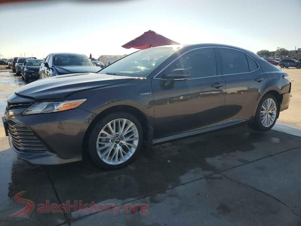 2019 TOYOTA CAMRY — VIN 4T1B21HK7KU010790