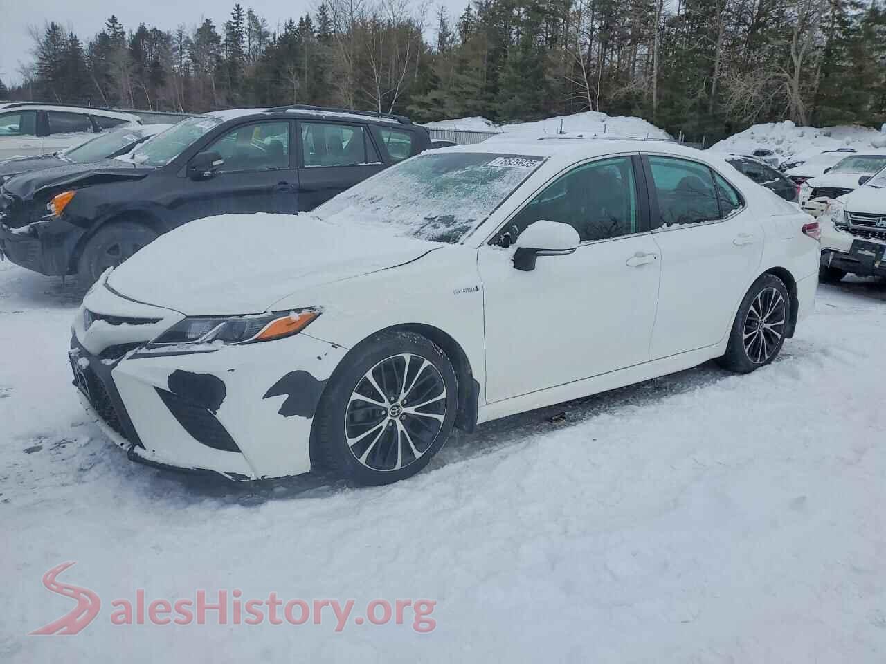 2020 TOYOTA CAMRY — VIN 4T1B21HK8LU522978