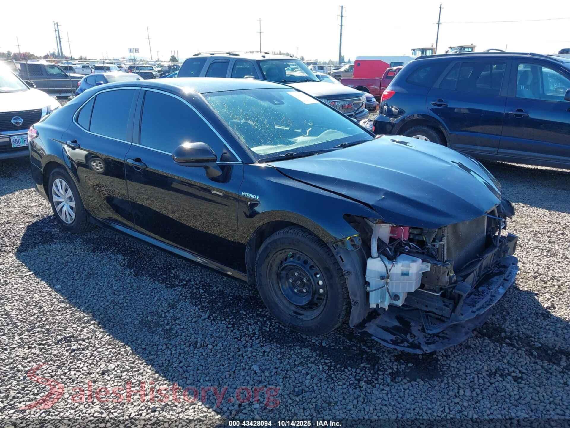 2019 TOYOTA CAMRY HYBRID — VIN 4T1B31HK3KU517294