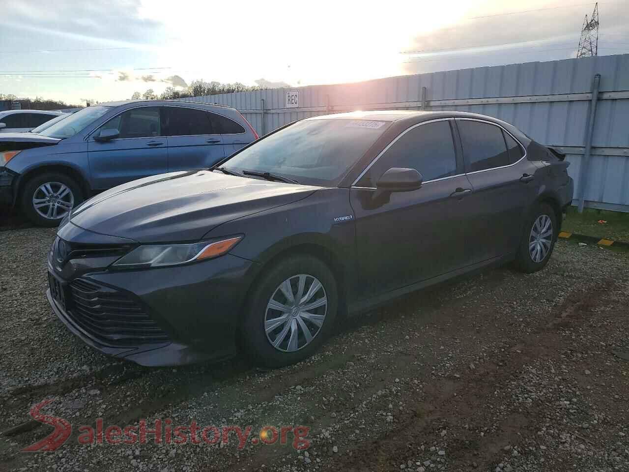 2019 TOYOTA CAMRY — VIN 4T1B31HK5KU511285