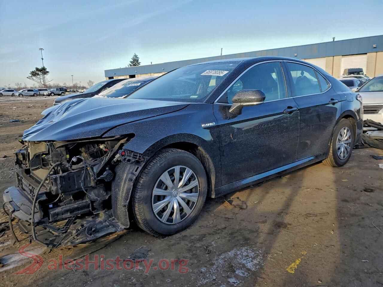 2019 TOYOTA CAMRY — VIN 4T1B31HK9KU510091