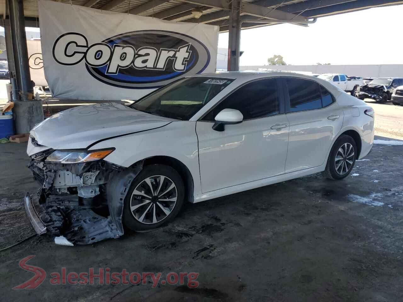 2023 TOYOTA CAMRY — VIN 4T1C31AK4PU605745