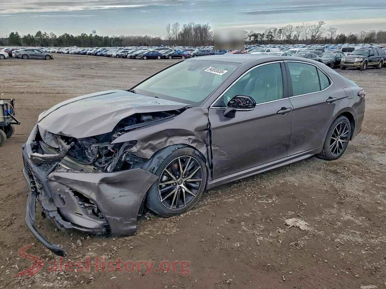 2023 TOYOTA CAMRY — VIN 4T1G31AK4PU611272