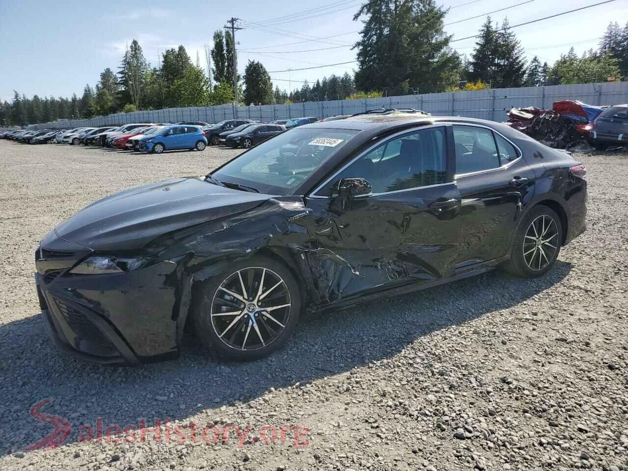 2021 TOYOTA CAMRY — VIN 4T1S31AKXMU568790
