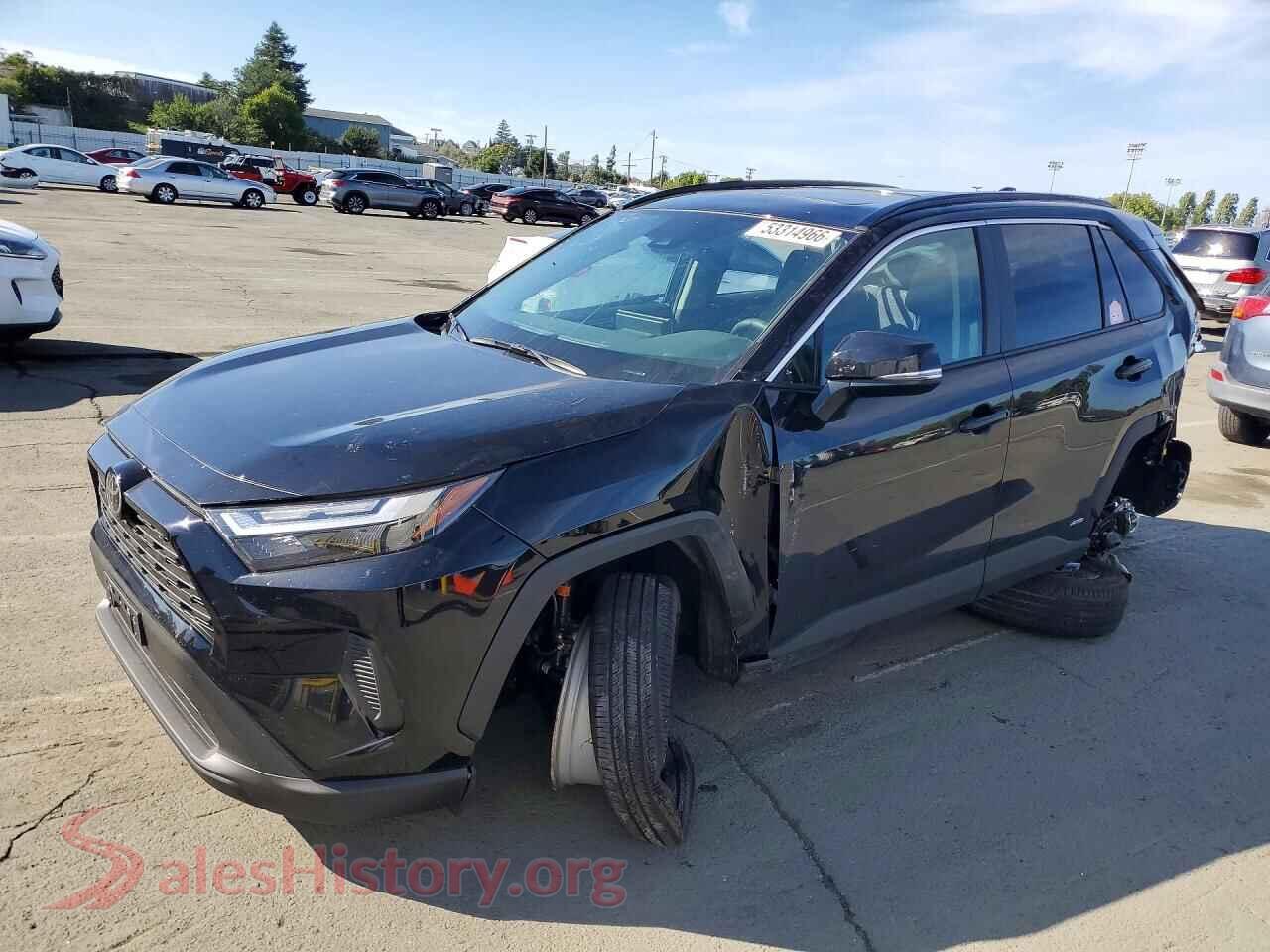 2025 TOYOTA RAV4 — VIN 4T3RWRFV6SU206709