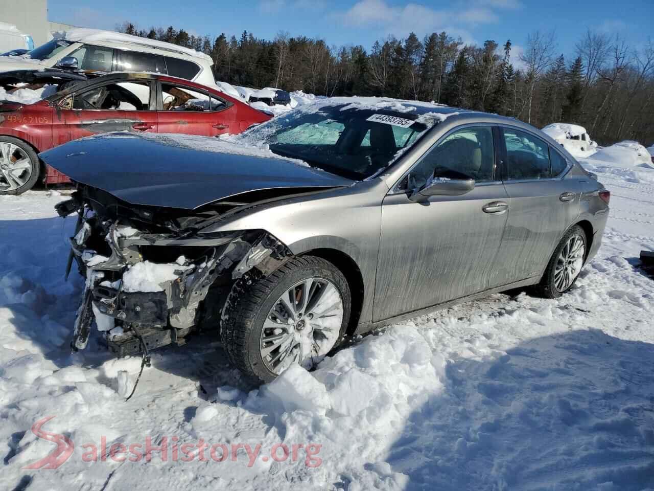 2021 LEXUS ES300 — VIN 58AB21B16MU012851